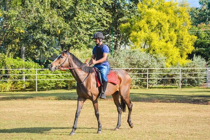 Horse Riding for Beginers from Dambulla - Photo 1 of 5